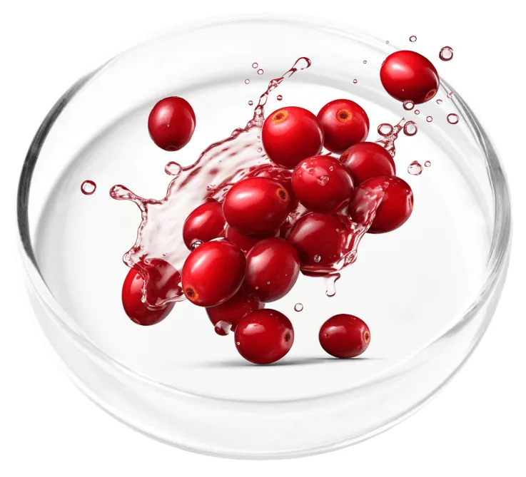 Cranberries