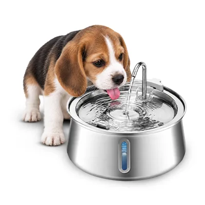 Puppy drinking from the FounTail fountain