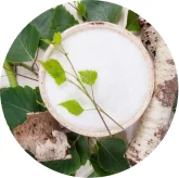 Bowl of xylitol next to birch bark